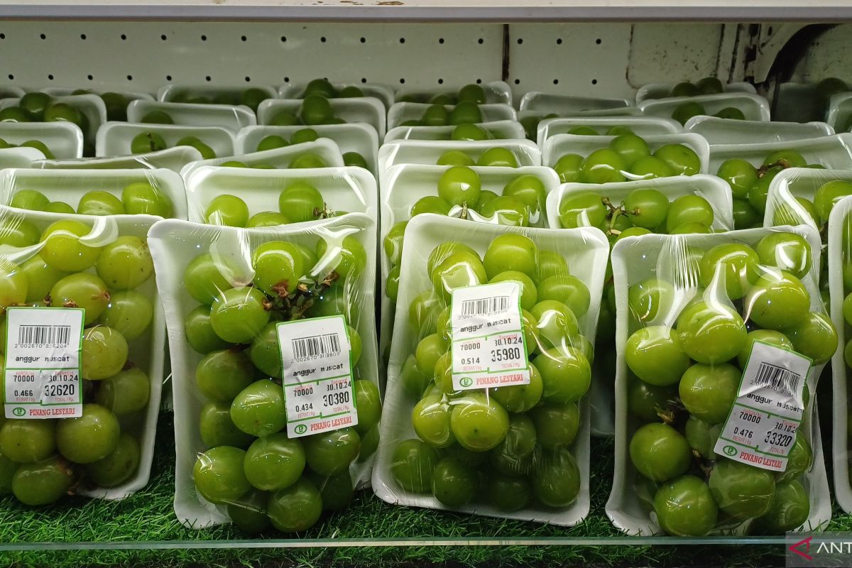 Lab results to determine fate of Muscat grape imports