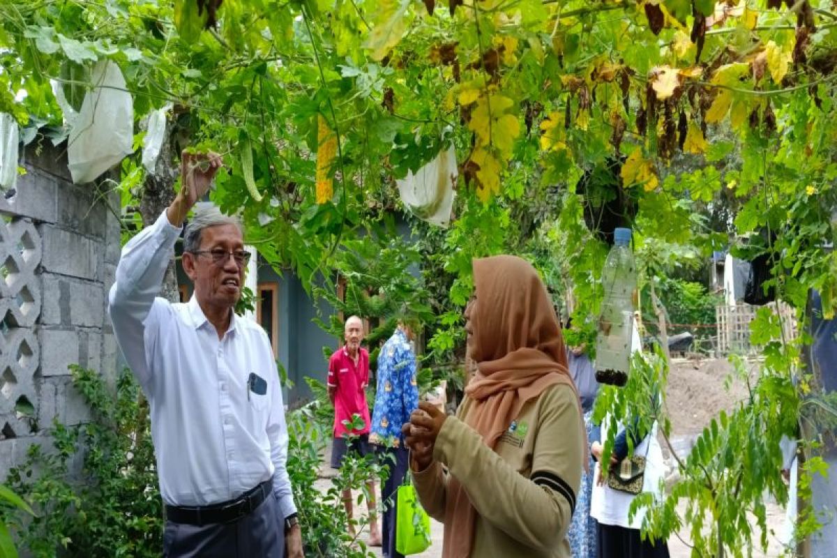 DP3 Sleman mendorong pembentukan KWT optimalkan pekarangan