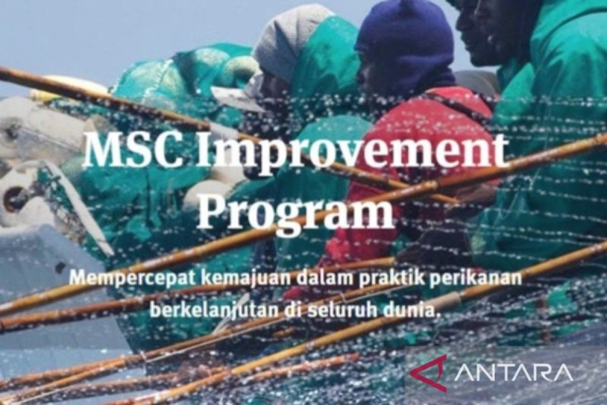 "MSC Improvement Program" solusi percepatan keberlanjutan perikanan