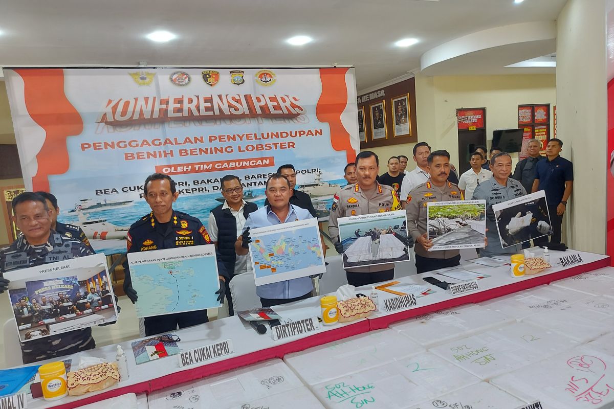 Tim gabungan kembali gagalkan penyeludupan benih lobster di Kepri