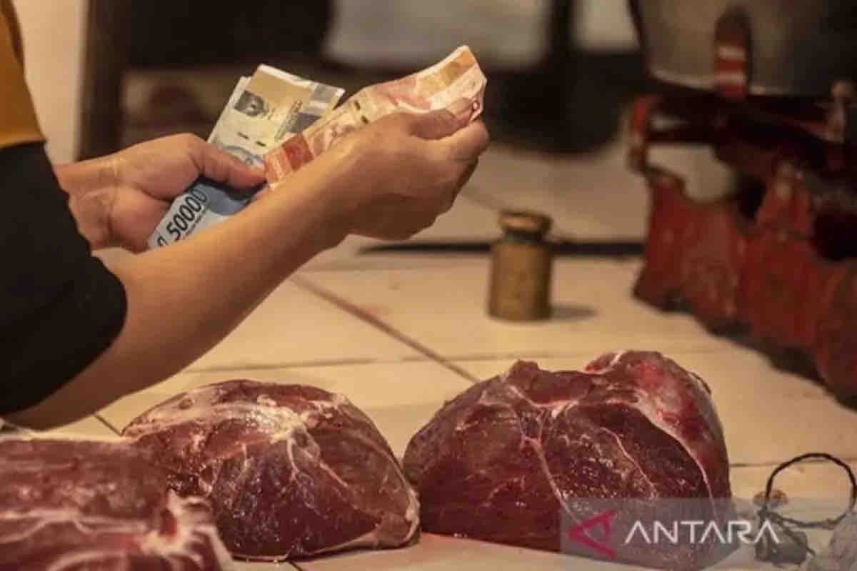 Harga pangan Kamis, daging sapi murni turun jadi Rp134.340 per kg