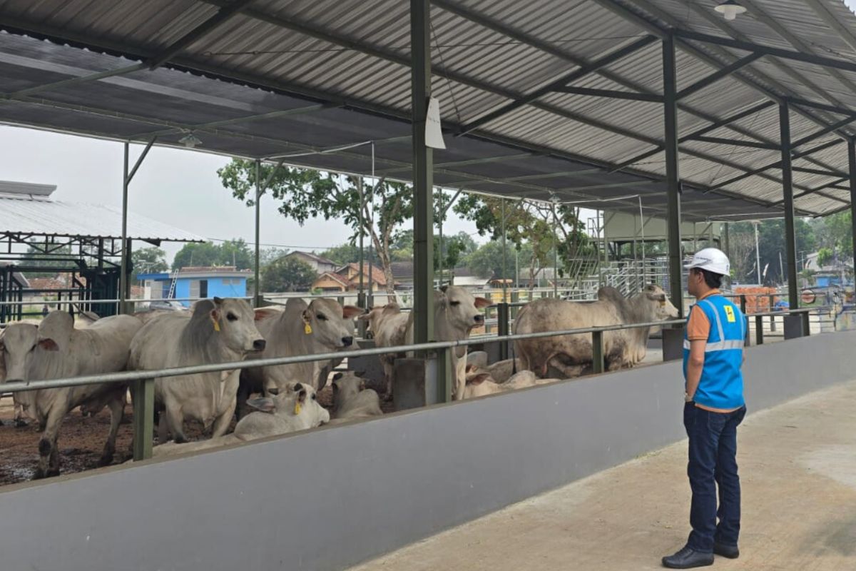 PLN UID Banten pasok listrik untuk sektor pertanian berkelanjutan