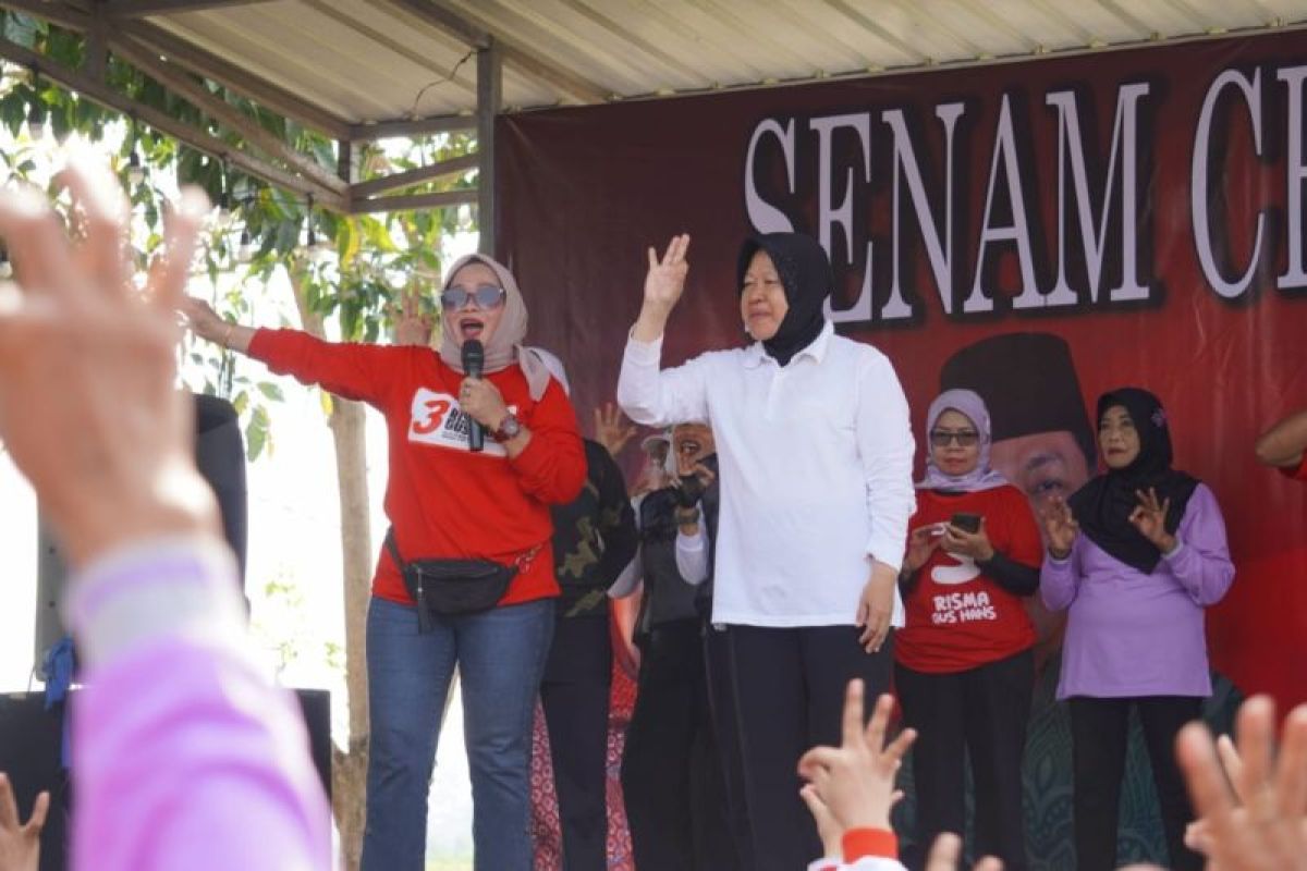 Risma bentuk kemandirian perempuan melalui program kesejahteraan