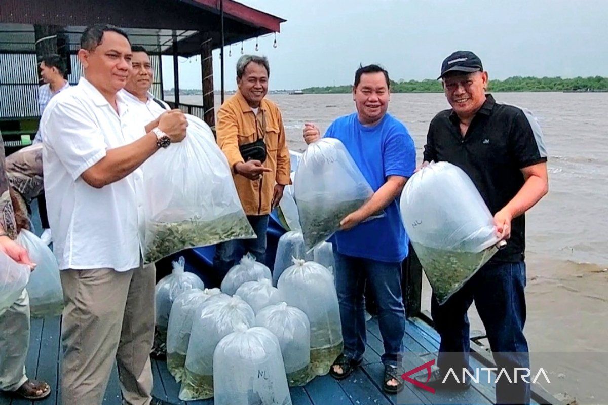 Dukung pelestarian, pengusaha di Kotim ini tebar ratusan ribu benih ikan