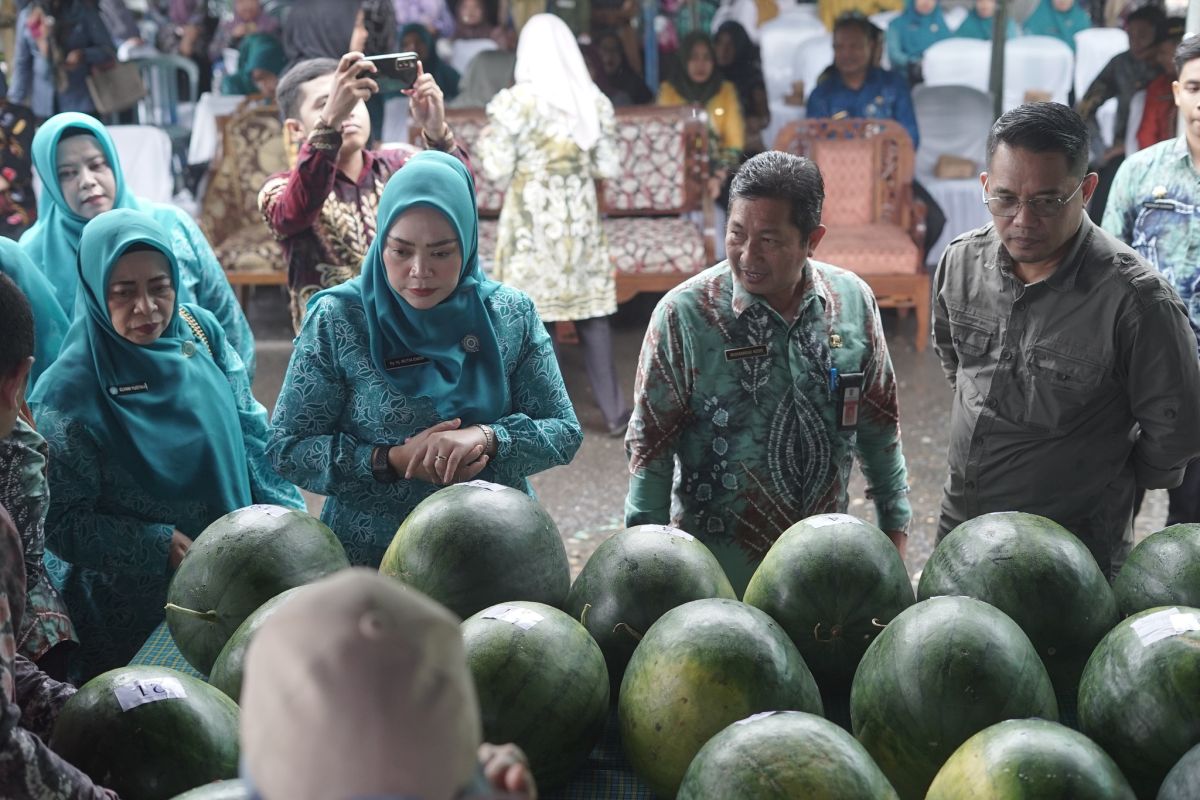 Pemkab HSS gelar kontes semangka angkat potensi unggulan pertanian