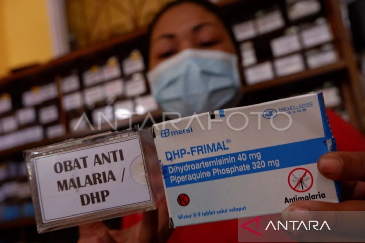 Kaltim perkuat upaya penanganan malaria  di seluruh kabupaten/kota