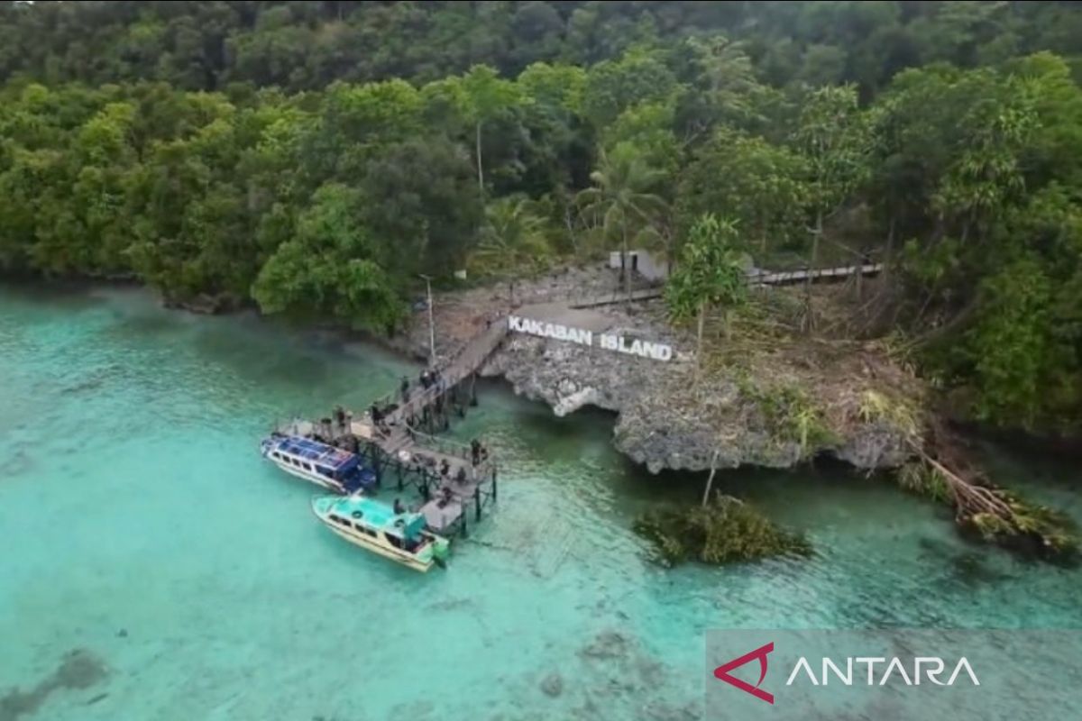 Pulau Maratua bakal dikembangkan jadi destinasi wisata premium