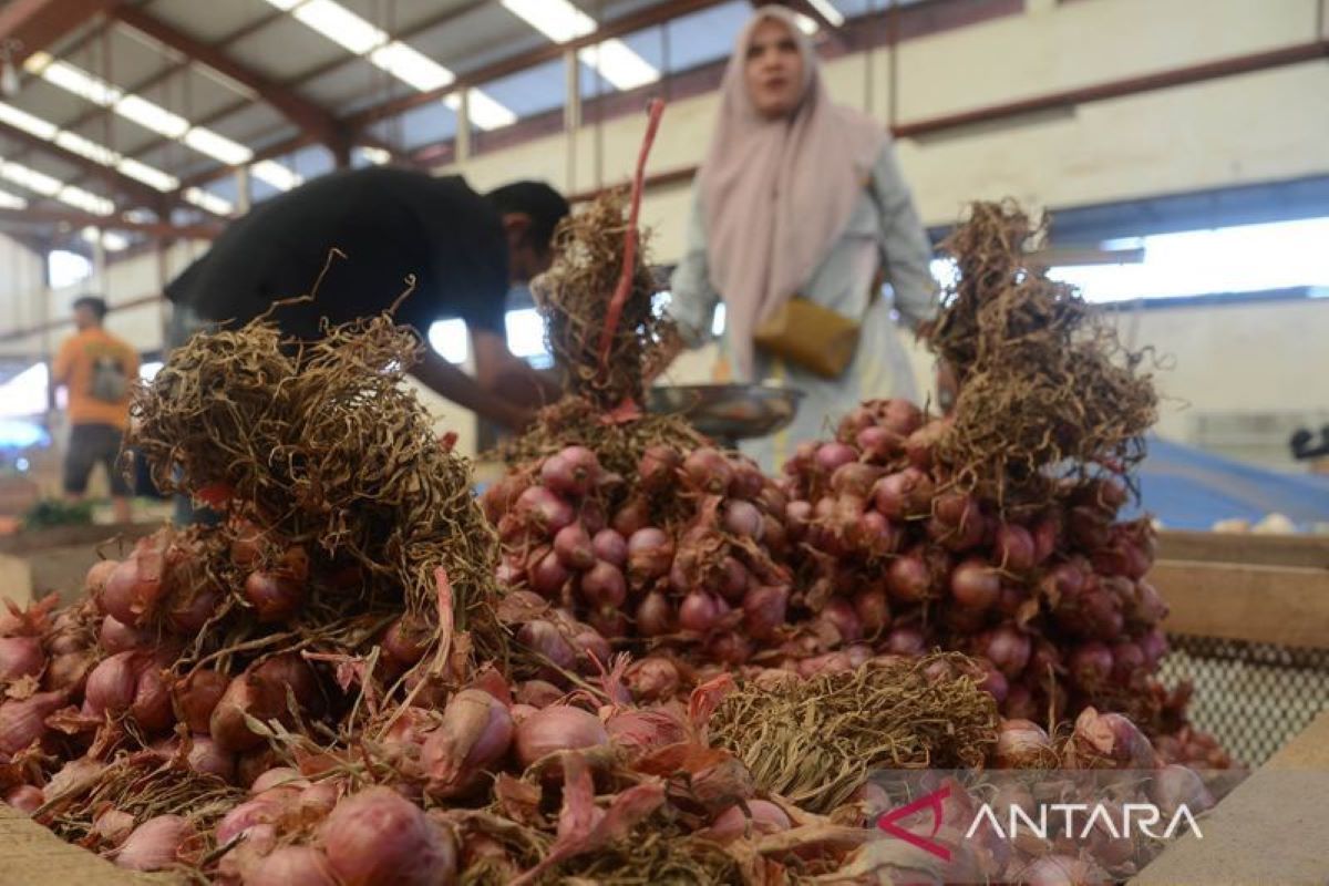 Diskopukmdag: Harga kebutuhan pokok di Aceh Besar stabil