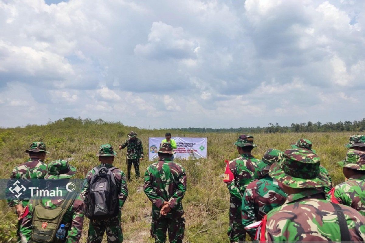 PT TAM-Korem 045 tanam 66.000 kayu putih di Gunung Sepang