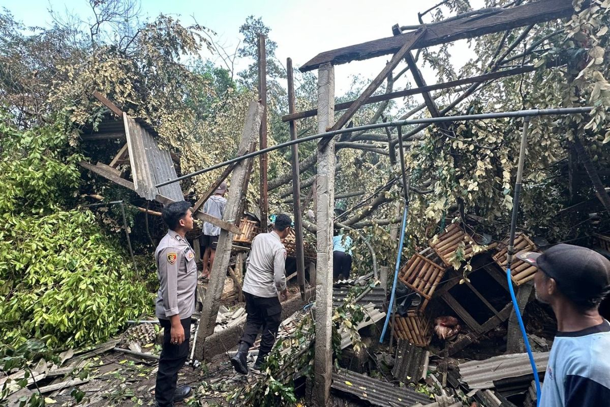 Seorang warga Blitar meninggal dunia terdampak hujan-angin kencang