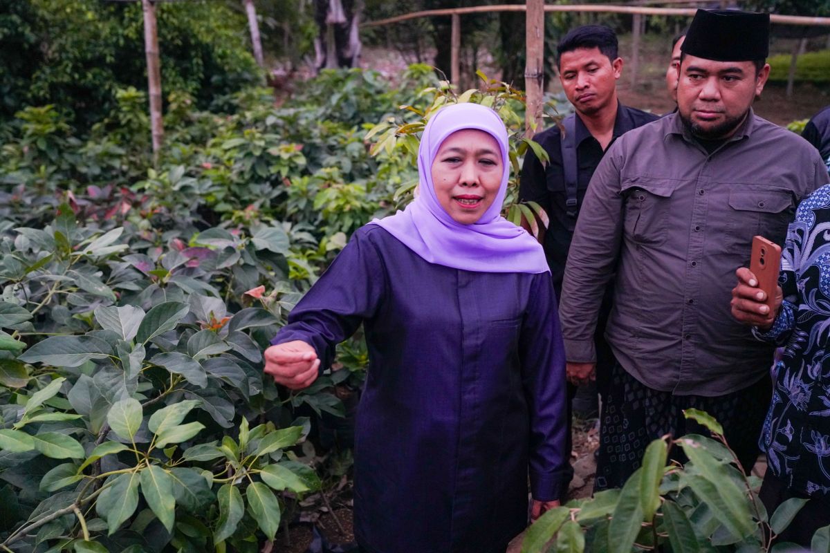 Khofifah siap bantu petani bibit durian ripto dapat akses modal