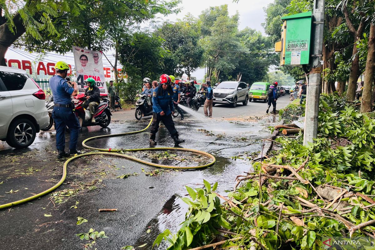 DPRD minta Pemkot Bogor perbaiki program pengelolaan pohon