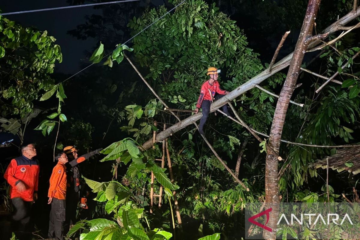 BPBD catat sepanjang Oktober terjadi 41 kali bencana di Sukabumi