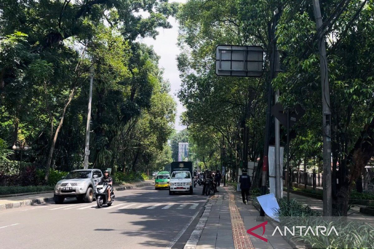 Pemkot Bogor percepat pemeliharaan dan pemangkasan pohon jelang musim hujan