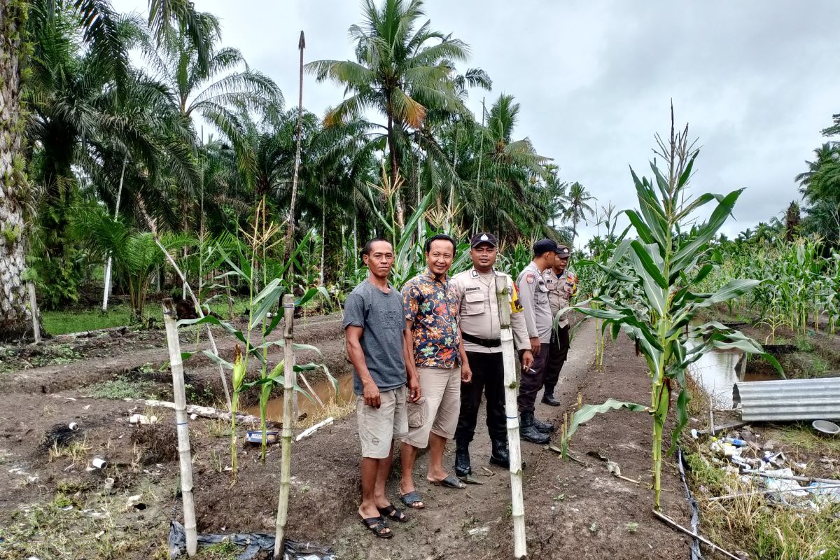 Polsek Kempas diskusi dengan petani terkait ketahanan pangan