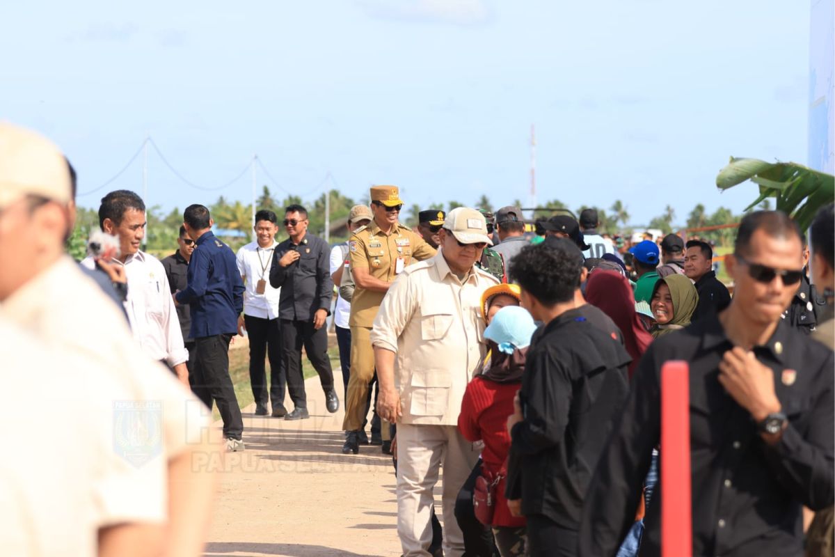 President Prabowo reviews food security measures in South Papua