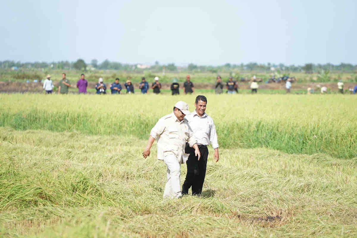 Presiden Prabowo kunjungi Merauke Papua Selatan