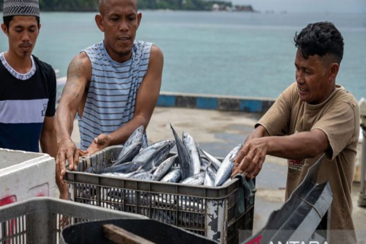 Brida dan Pemkab ciptakan aplikasi penunjang perikanan tangkap