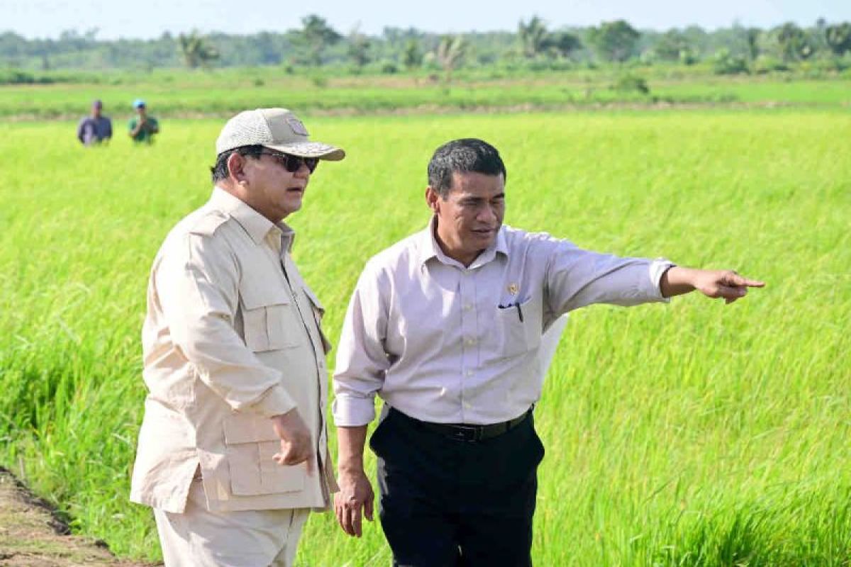 Mentan berikan pendampingan petani dan penerapan mekanisasi di Merauke