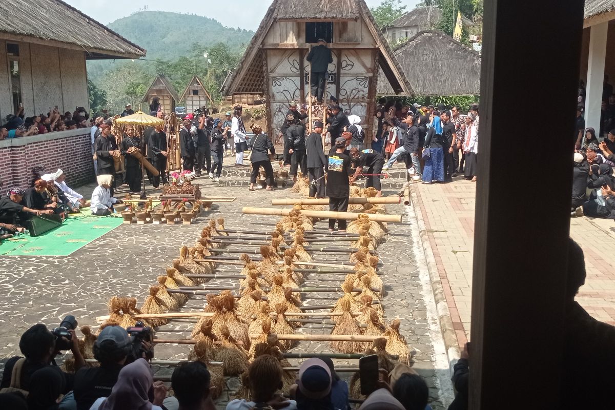 Melestarikan budaya Seren Taun di Kasepuhan Cisungsang 