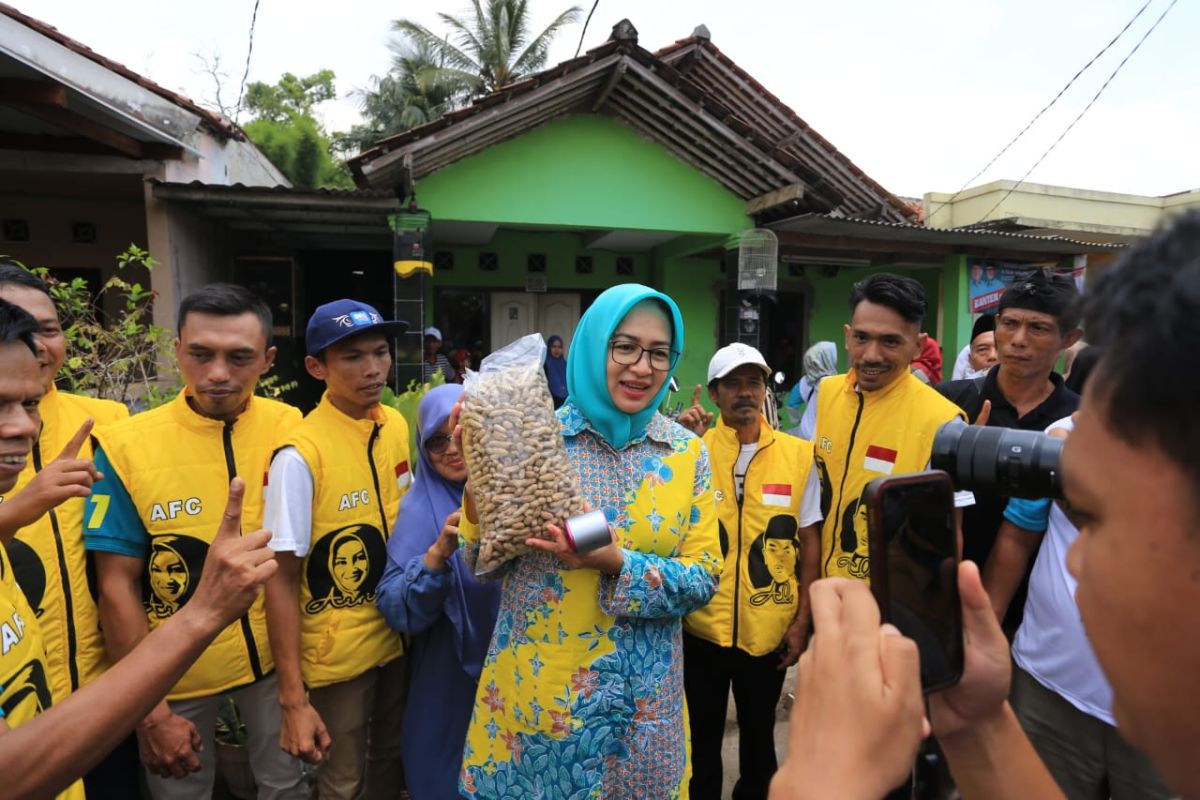 Airin-Ade hadirkan program kreasi dan community center