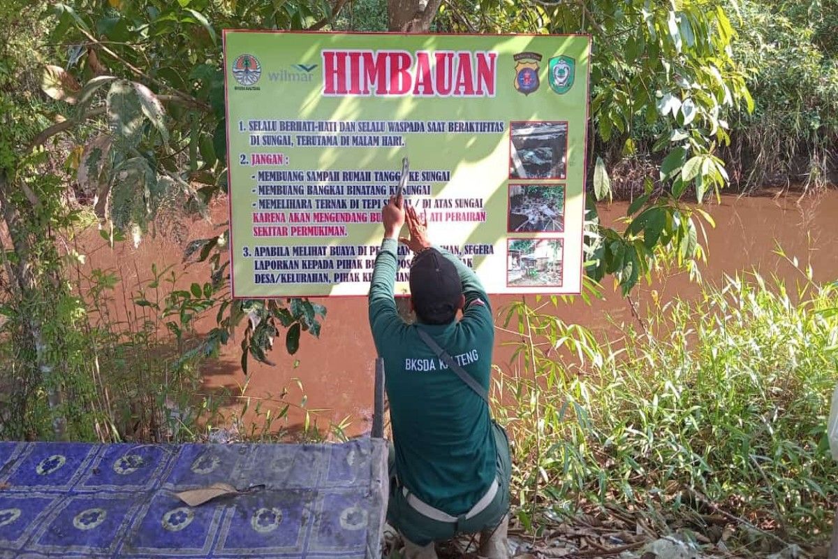 BKSDA Sampit edukasi warga dengan spanduk imbauan waspada buaya