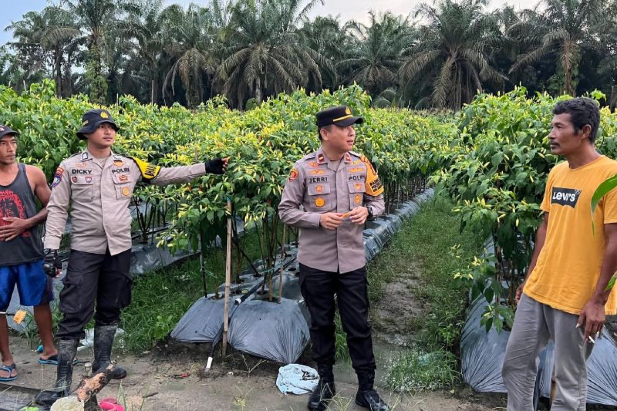 Dukung ketahanan pangan, Kapolsek Kerumutan monitoring lahan pertanian