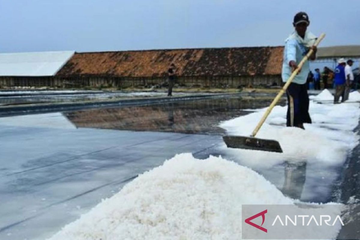 Petani garam Madura kirim surat pada Presiden terkait persoalan garam