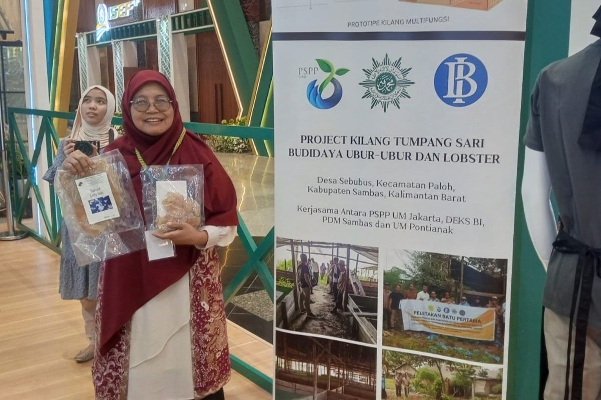 Produk nelayan "salted jellyfish" binaan Muhammadiyah Ikut ISEF 2024