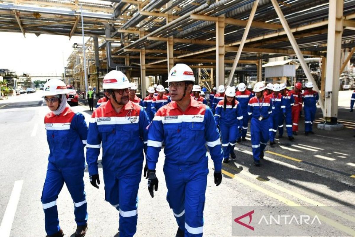 Ekonom harapkan pimpinan baru Pertamina fokus hilirisasi minyak bumi