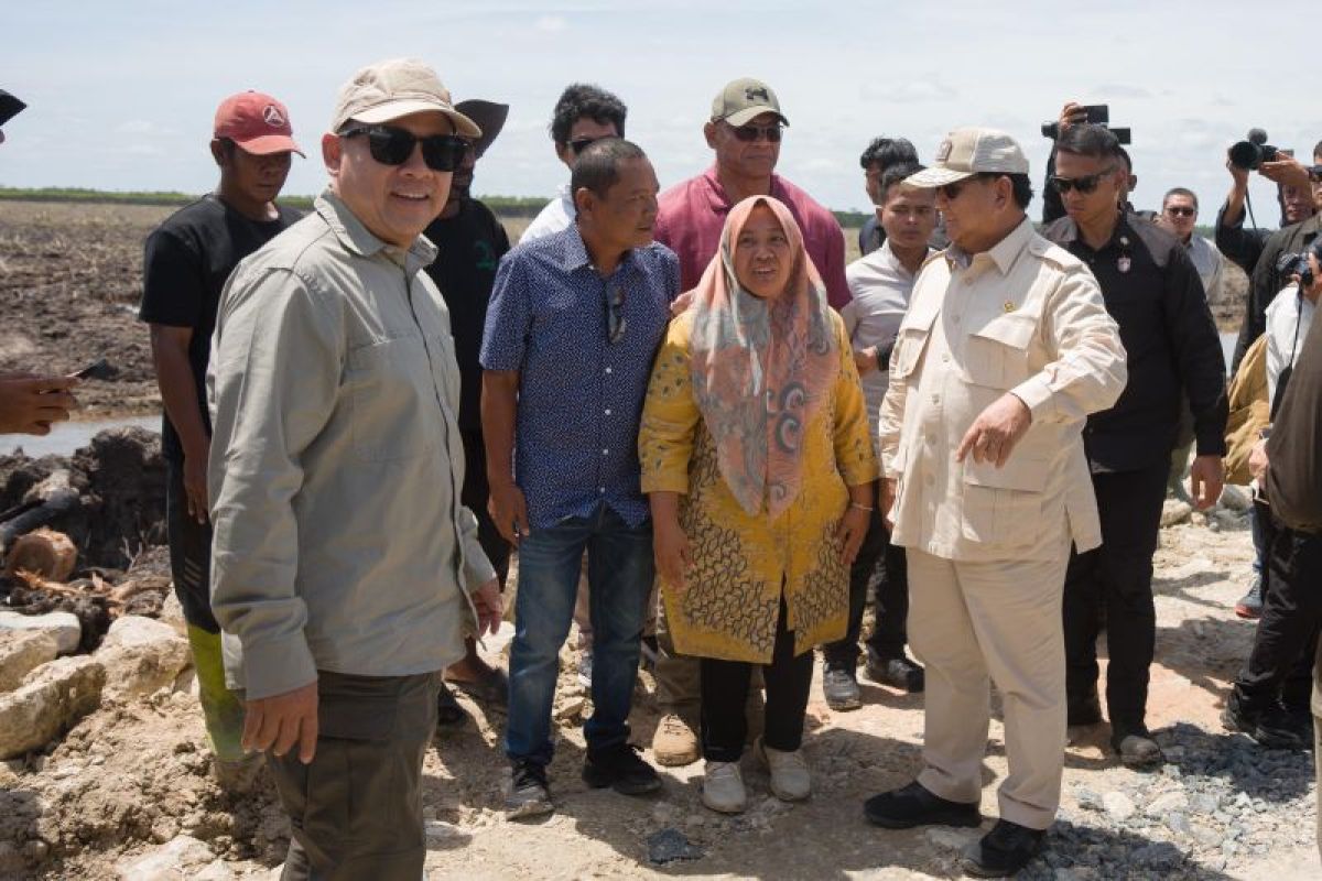 Presiden Prabowo Subianto kunjungi projek Cetak Sawah 1 Juta hektare