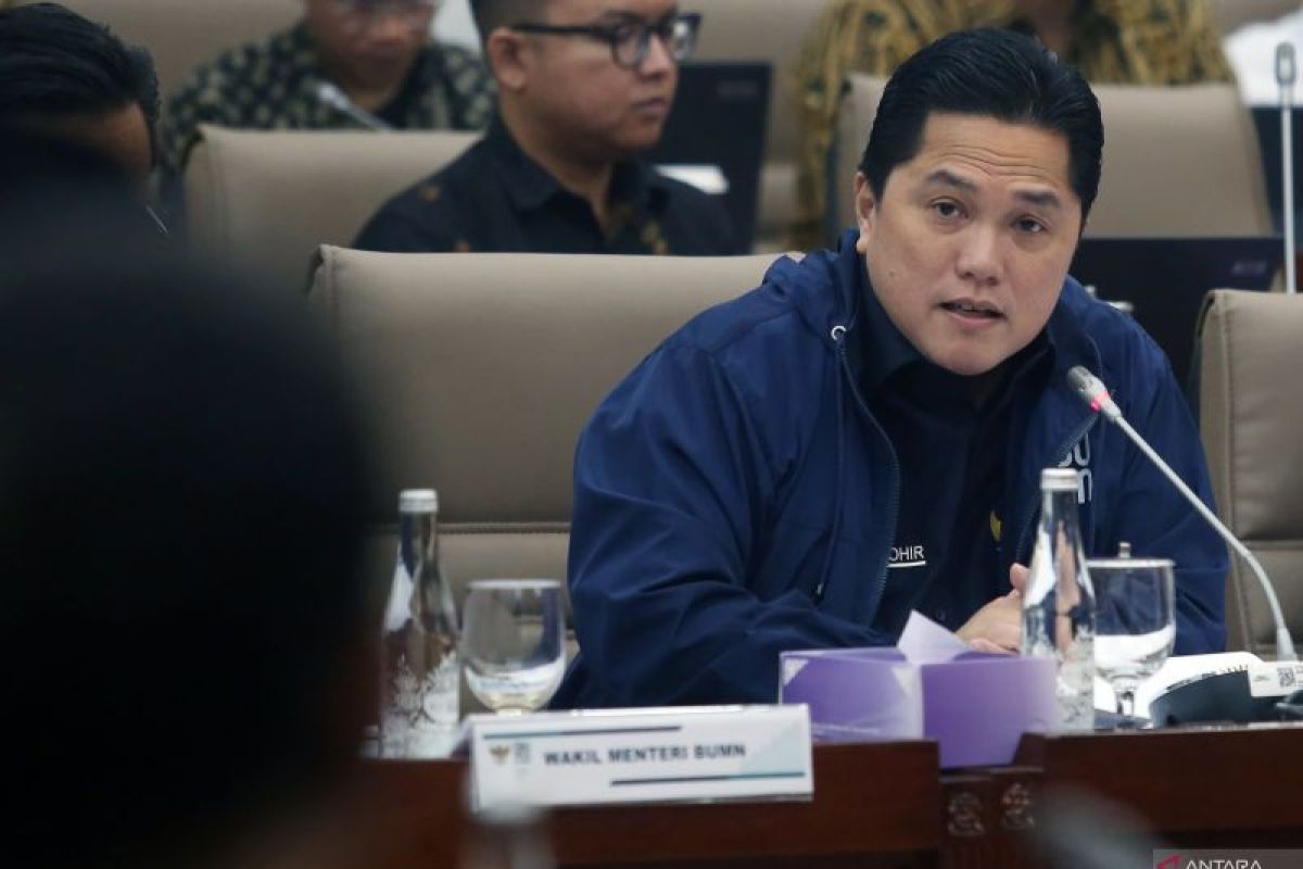 Erick Thohir sebut 40 BUMN sehat, 7 masih dalam proses