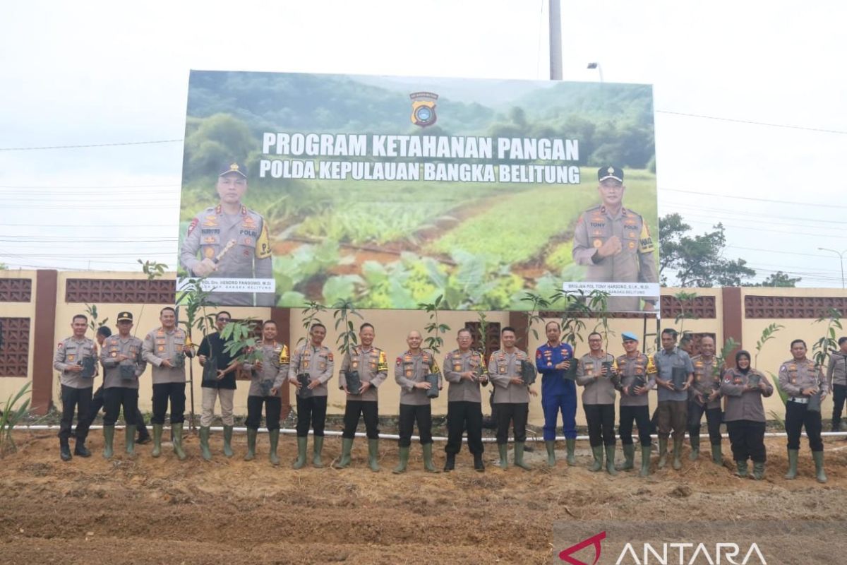 Polda Babel canangkan lahan 3 hektare dukung program ketahanan pangan