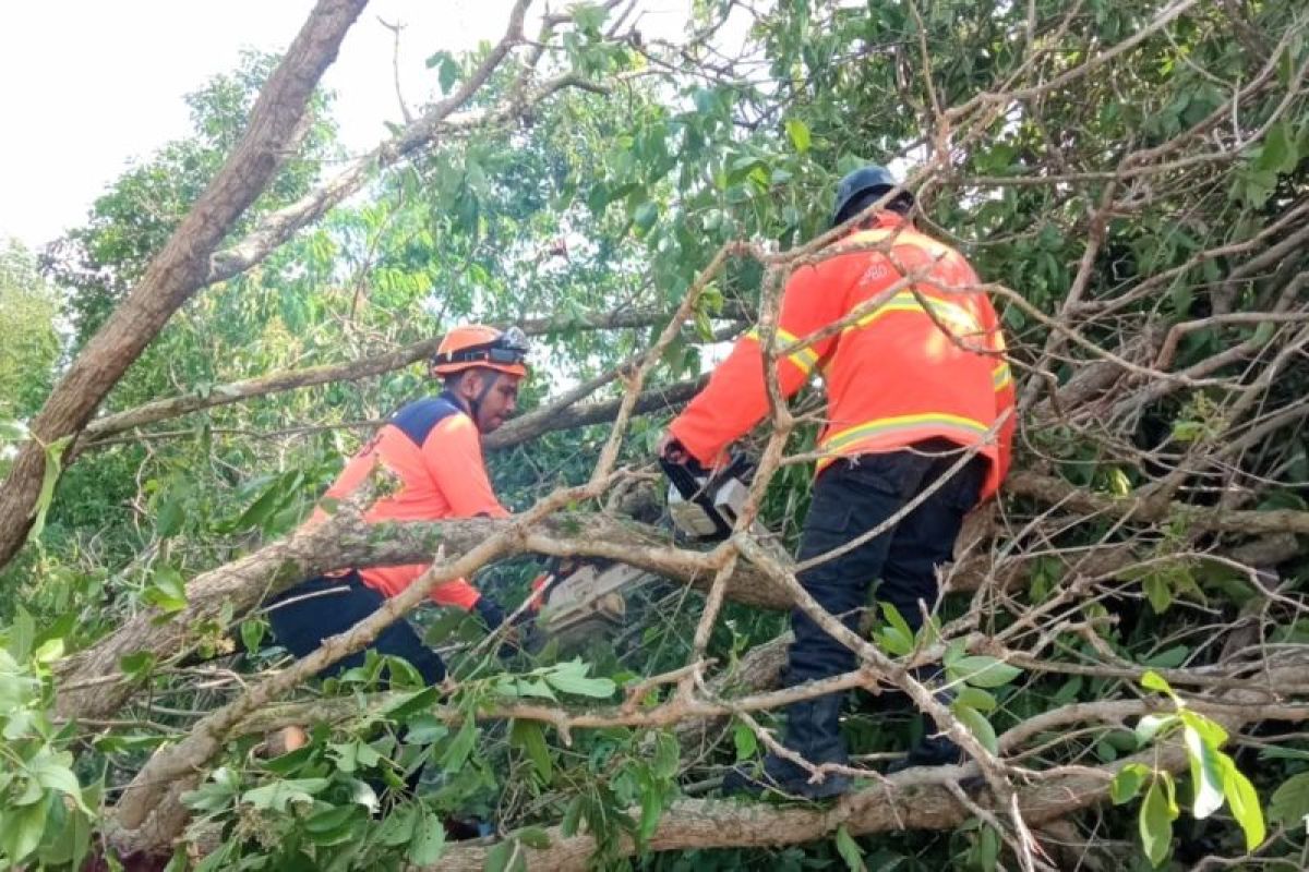 BPBD Karimun rutinkan patroli antisipasi bencana hidrometeorologi