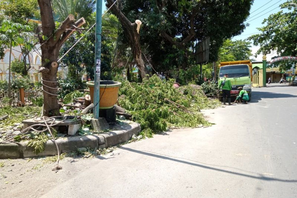 DLH Mataram lakukan perantingan pohon antisipasi cuaca ekstrem