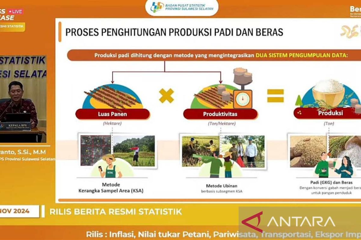 BPS memperkirakan luas panen padi Sulsel pada 2024 capai 950 ribu hektare