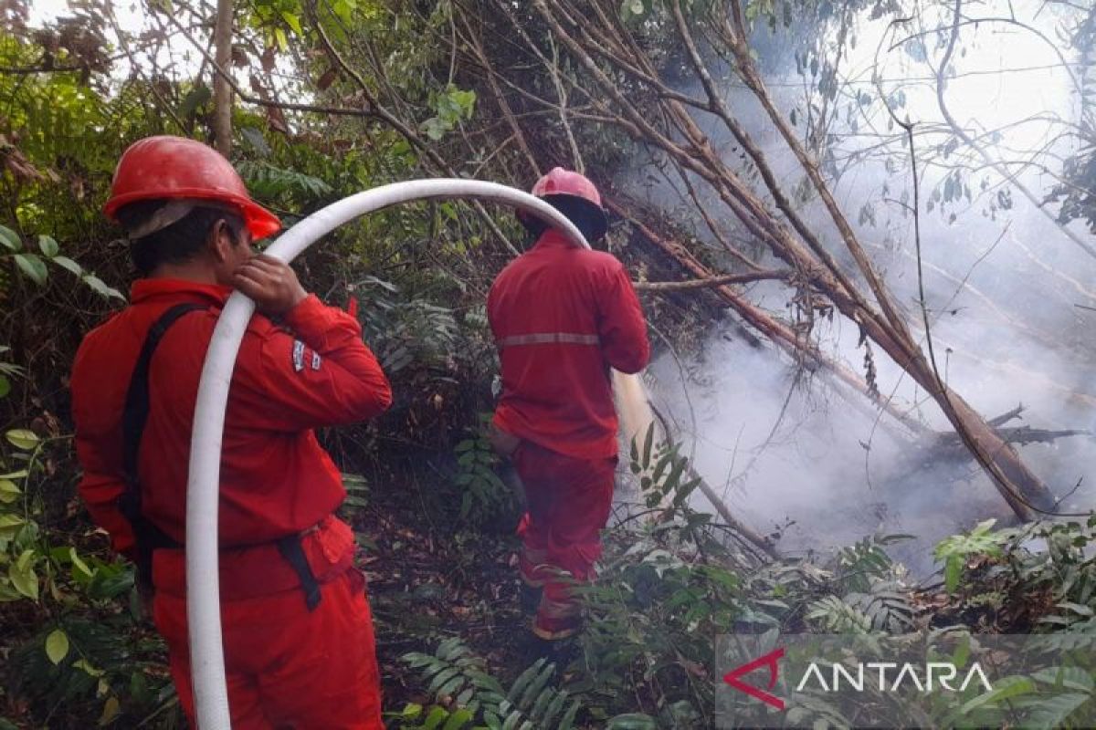 BPBD Sumsel: Jumlah karhutla berkurang dampak musim hujan