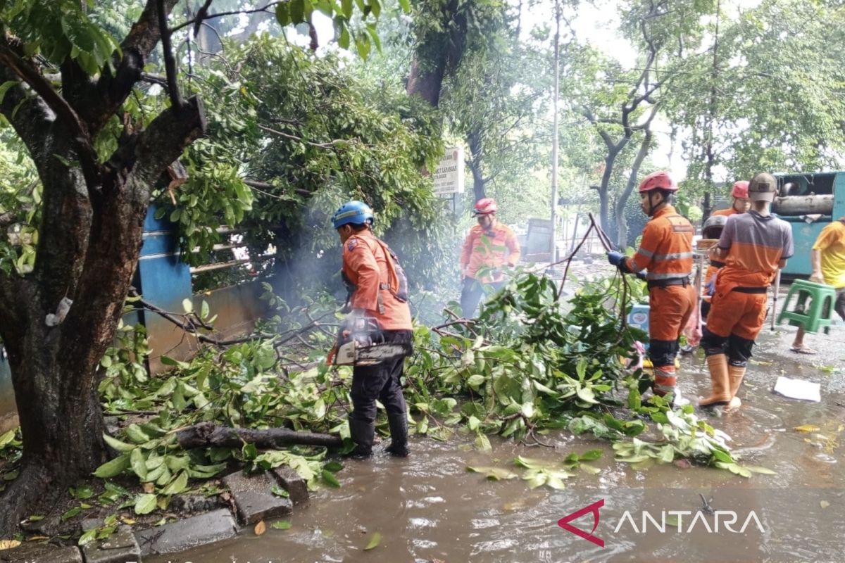 BMKG: Kota Bogor masuki masa peralihan musim