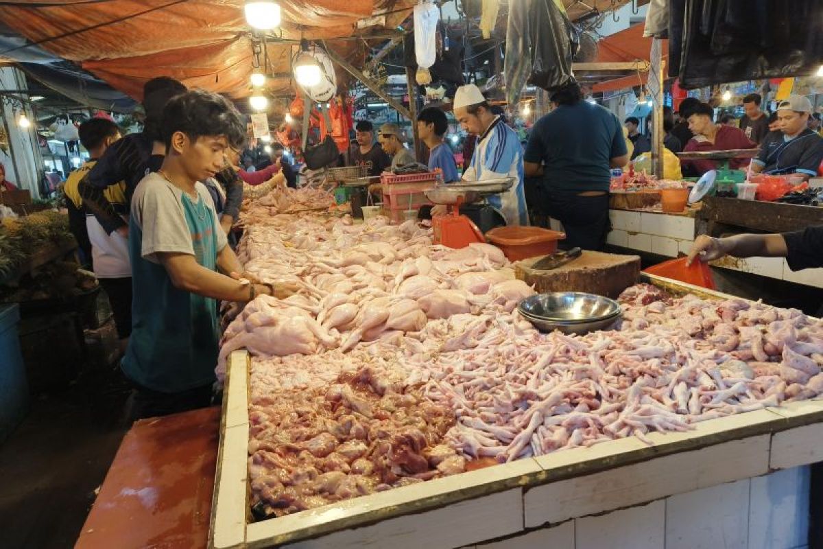 Pakar harap pemerintah tekan tingkat pengangguran di bawah 4 persen