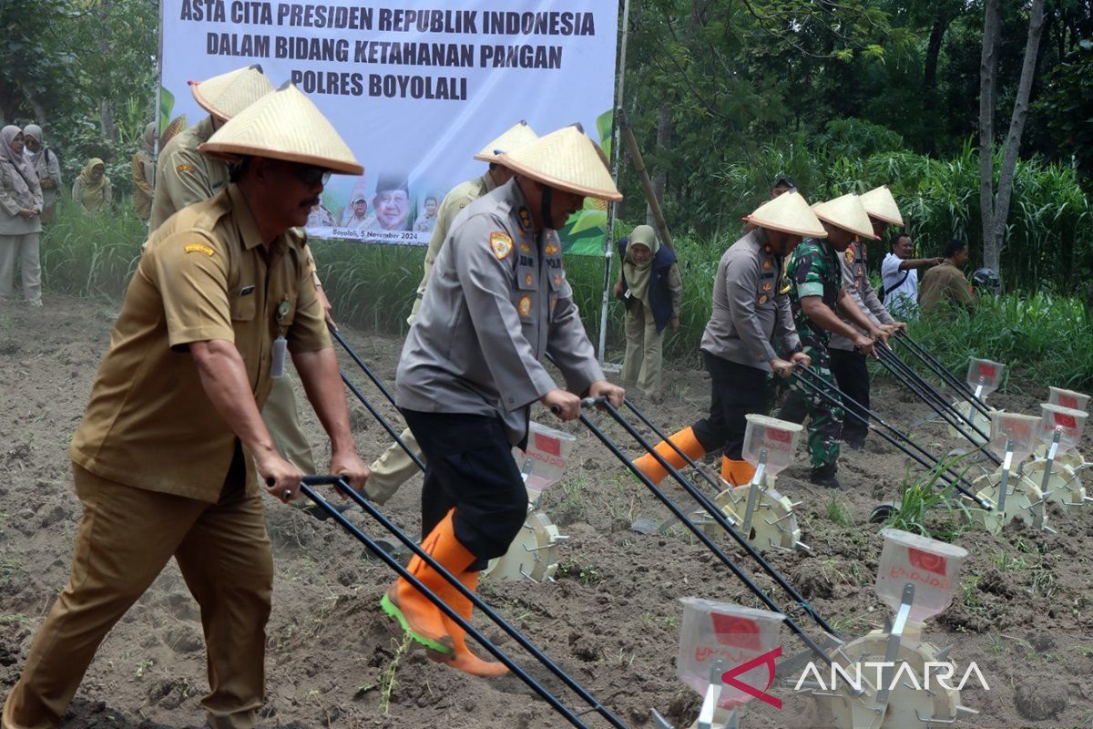 Polres Boyolali bantu bibit jagung dukung ketahanan pangan