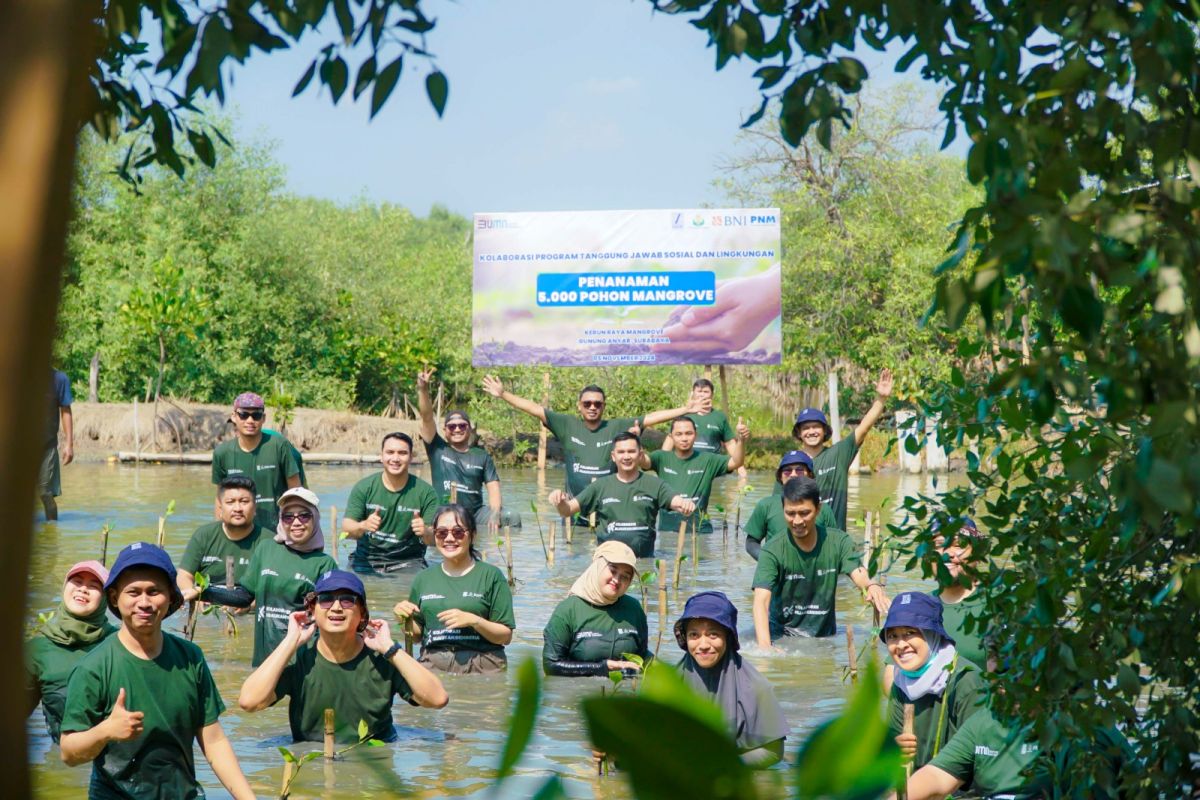 SIER gandeng BUMN tanam 5.000 bibit mangrove di KRM Surabaya