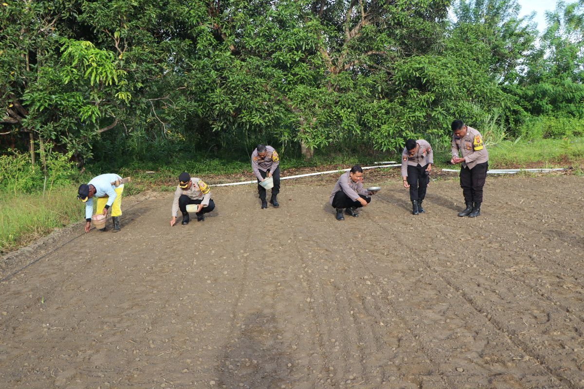 Polres Buru tanam 3.000 bibit jagung dukung program 100 hari Asta  Cita