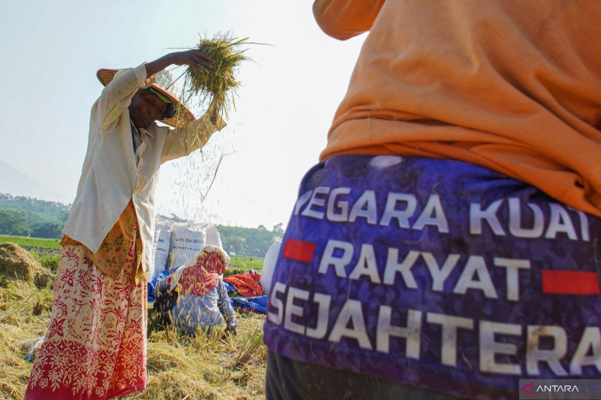 Hapus piutang macet UMKM, sebuah ikhtiar gairahkan ekonomi kerakyatan