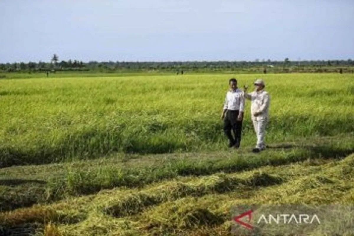 KTNA: Pendaftaran data e-RDKK penting bagi petani dapat pupuk subsidi