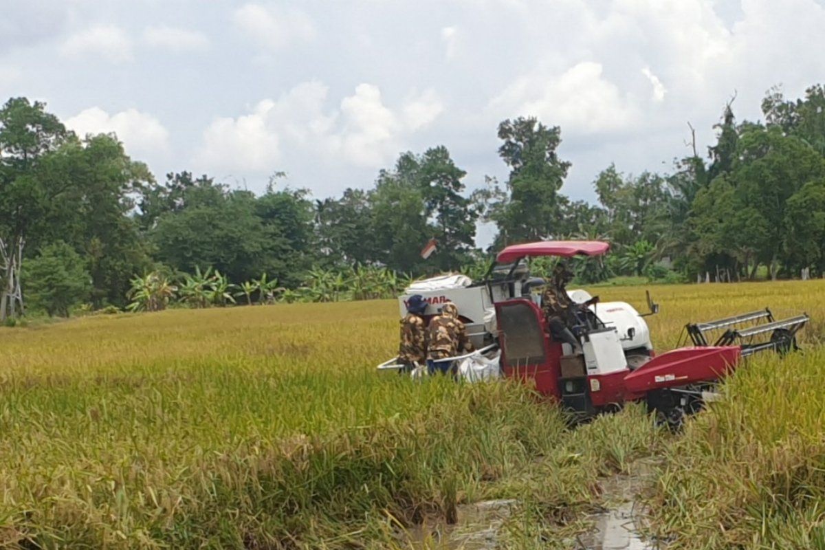 Korem Gapo kolaborasi dengan Dinas Pertanian Sumsel cetak sawah 2025