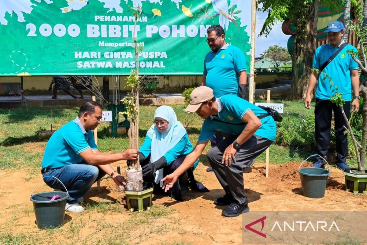 Pemkab Sumenep tanam ribuan pohon untuk perluas hutan kota