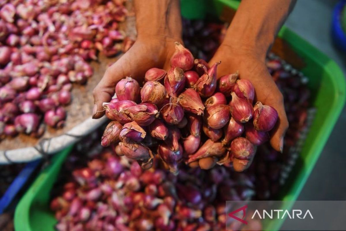 Harga pangan di Rabu pagi, bawang merah naik menjadi Rp35.290 per kg