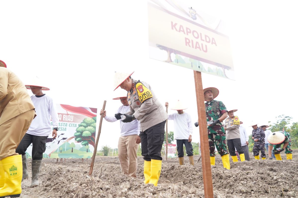 Polda Riau tanam jagung dan budidaya patin dukung ketahanan pangan