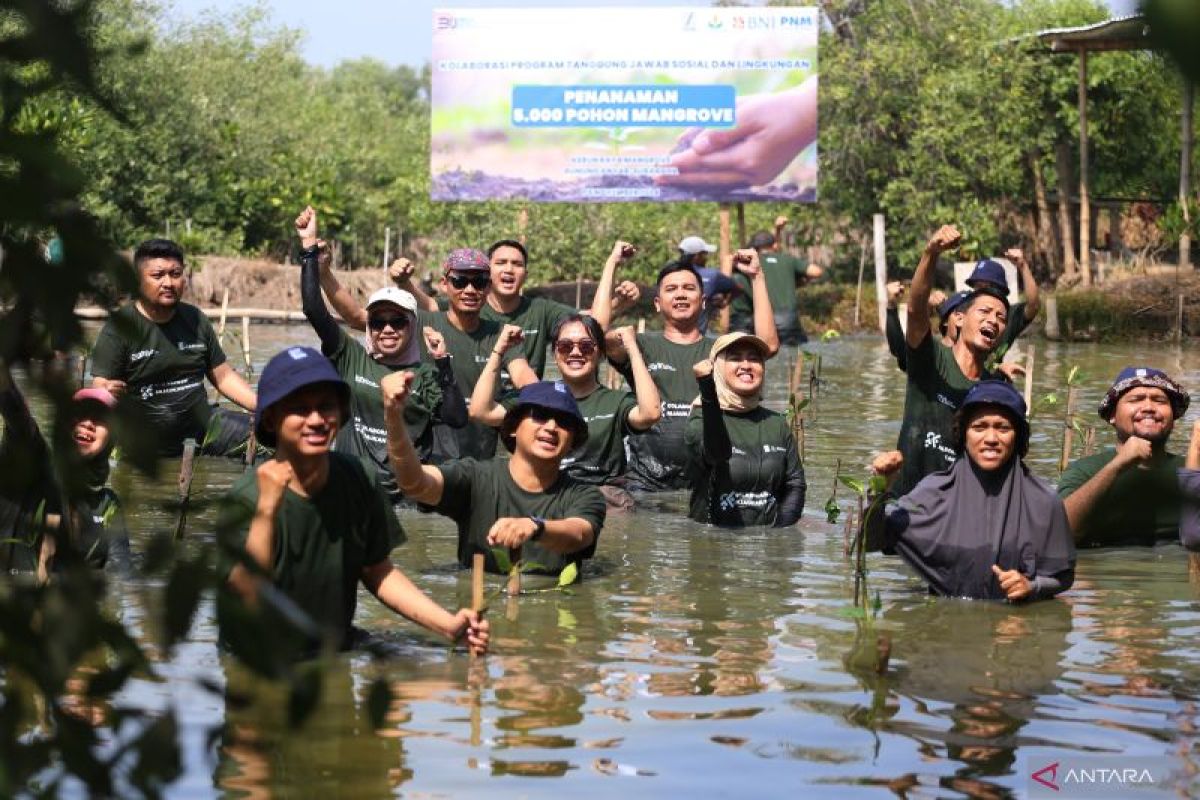 PNM Surabaya ajak BNI, Petrokimia dan PT SIER tanam mangrove