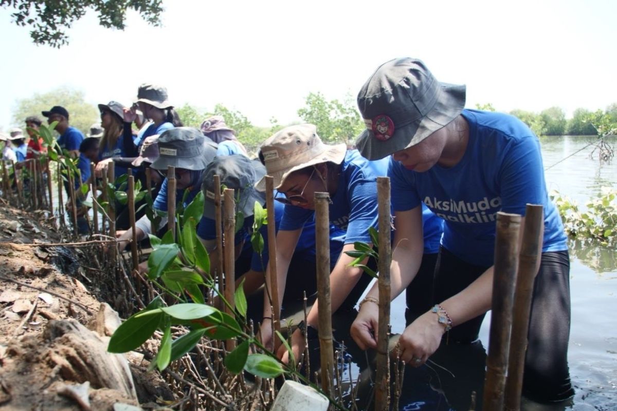 J Trust Bank tanam 3.000 mangrove guna capai target emisi nol bersih